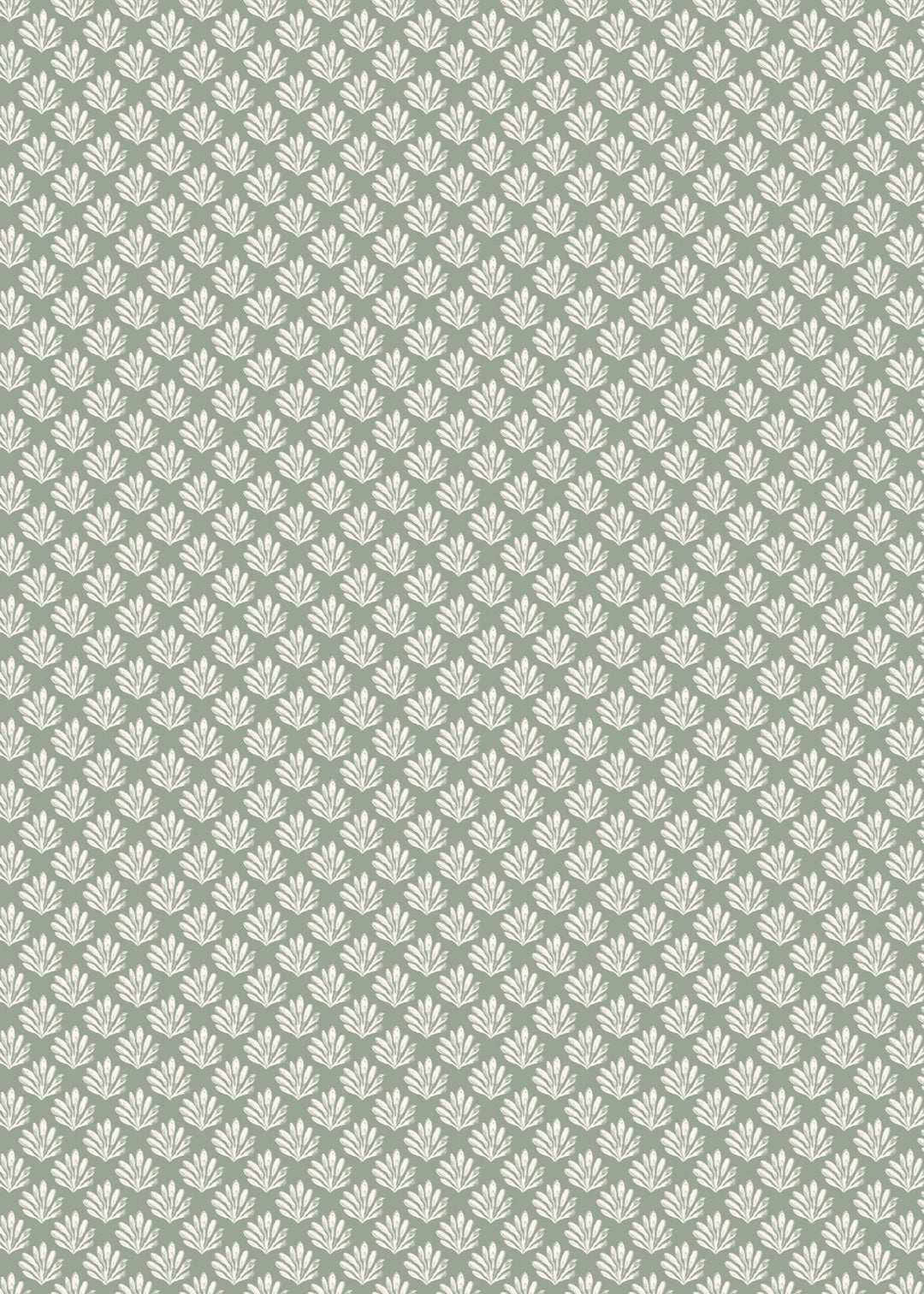 Sea Beech Wallpaper