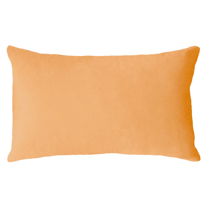 Scorpio Season Needlepoint Cushion