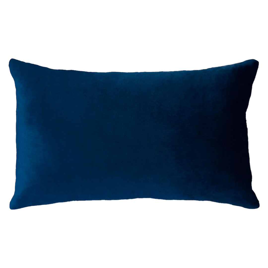 Netflix & Chill Needlepoint Pillow