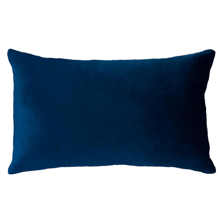 Netflix & Chill Needlepoint Pillow