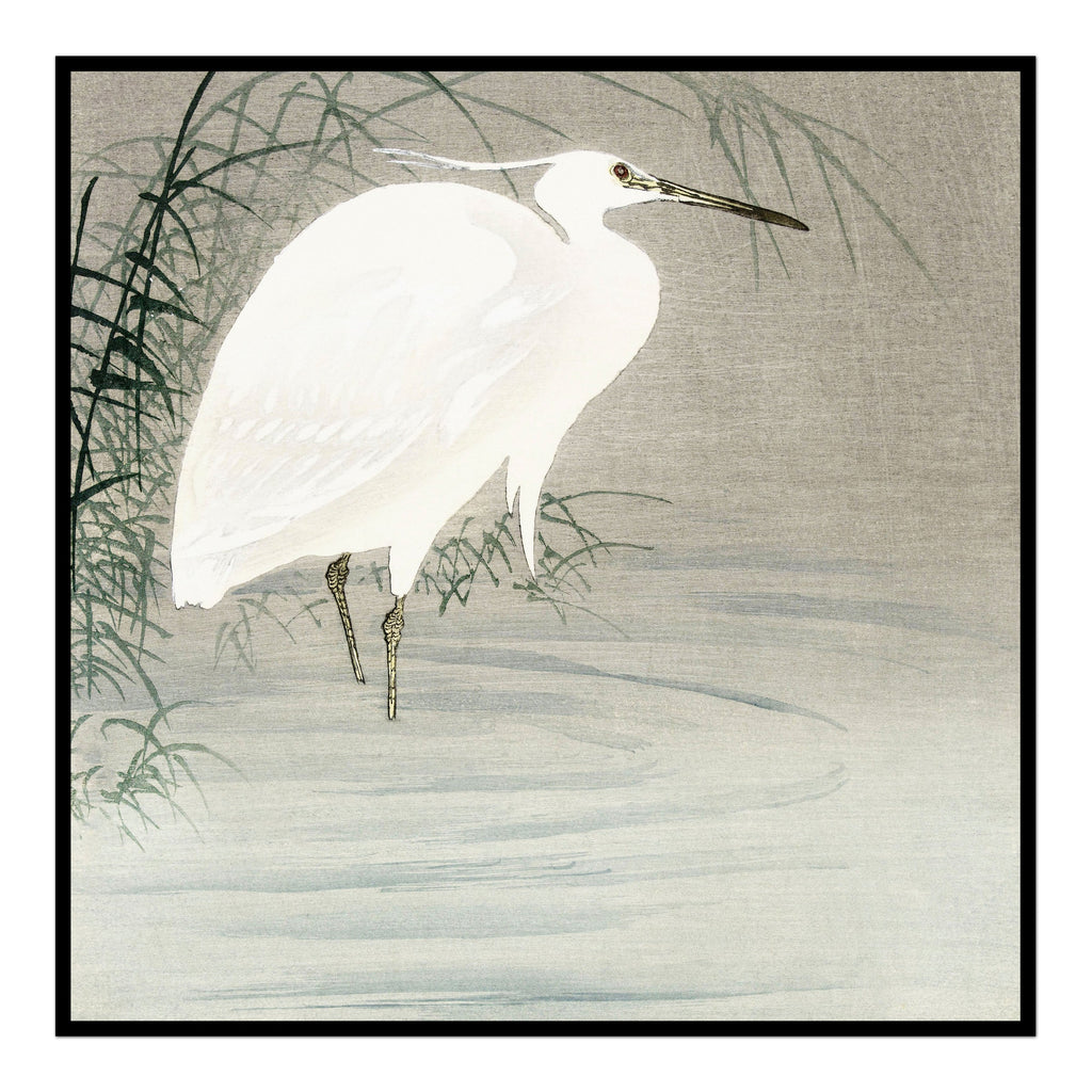 White Crane In The Reeds Print