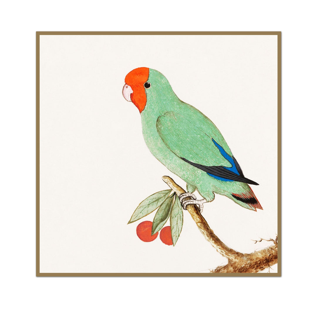 Christmas In July Parrot Print