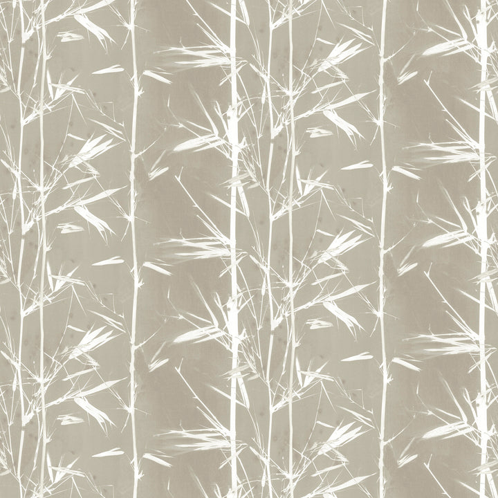 Bamboo Shoot Wallpaper