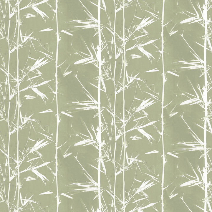 Bamboo Shoot Wallpaper
