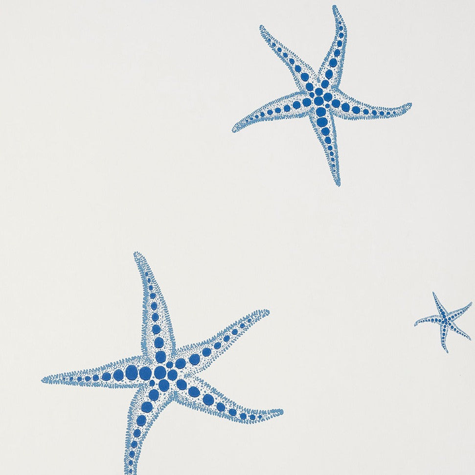 Starfish Wallpaper by Barneby Gates