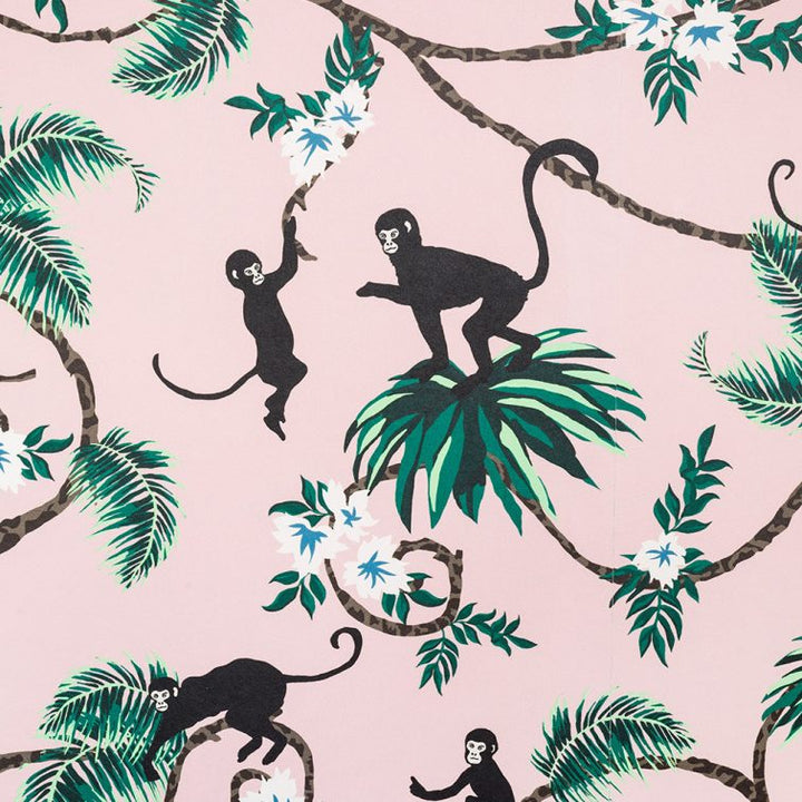 Tabitha Webb Monkey Wallpaper