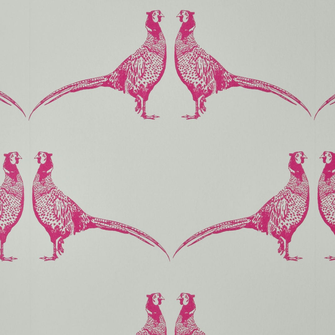 Barneby Gates Pheasant Wallpaper in Pink