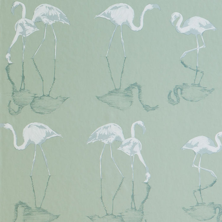 Nakuru Flamingo Wallpaper in Green by Juliet Traveres