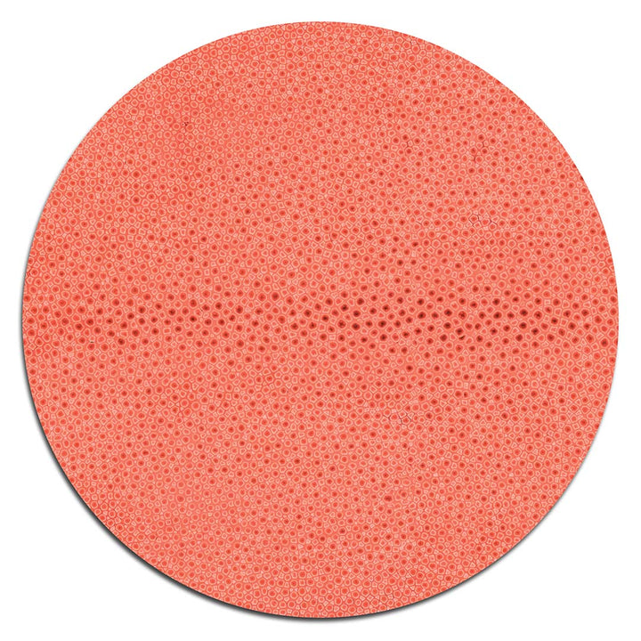 Coral Shagreen Placemat