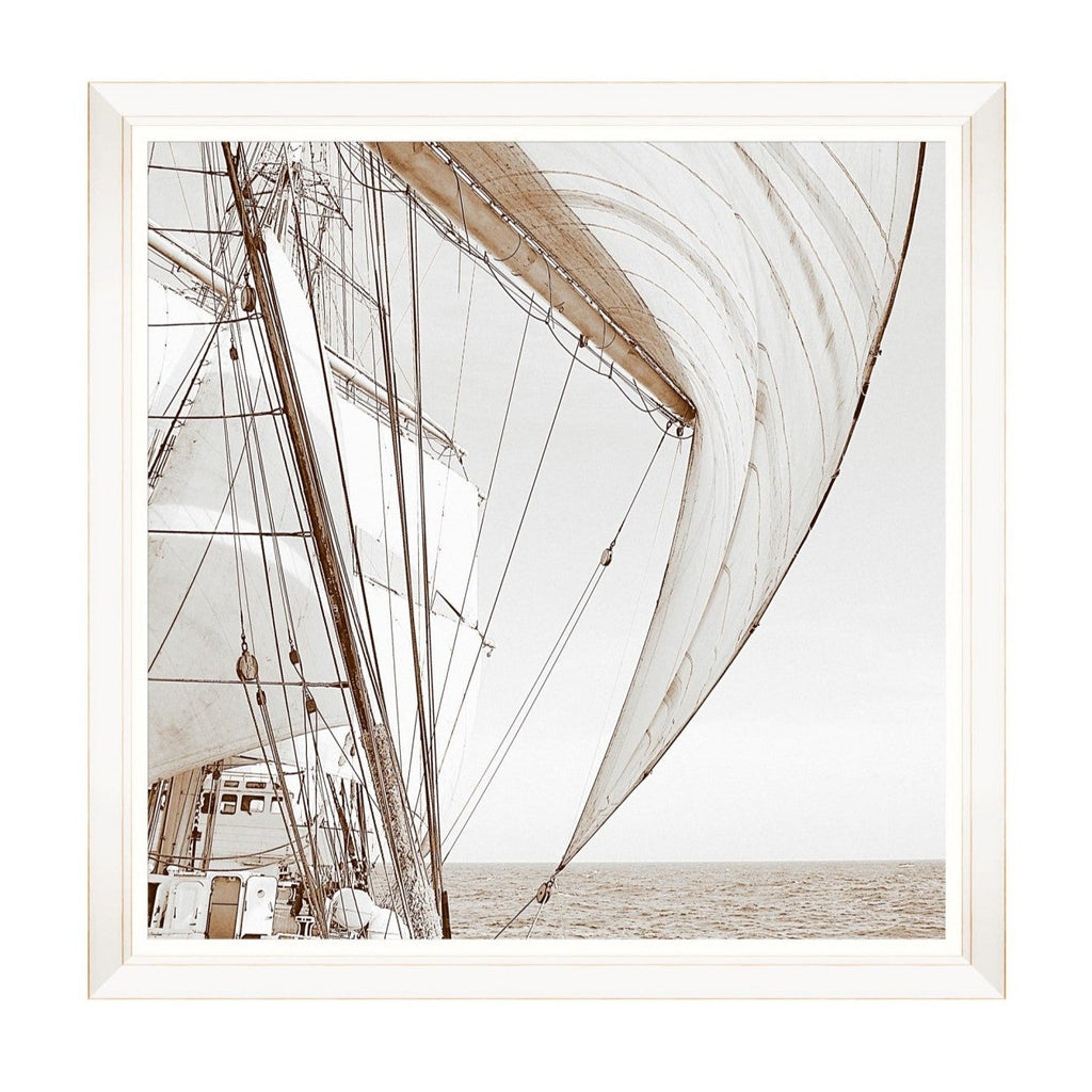 Sailing High Framed Prints