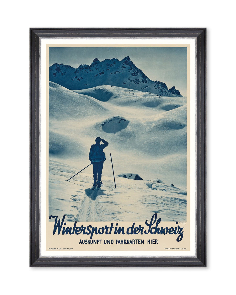Wintersport Poster Framed Art