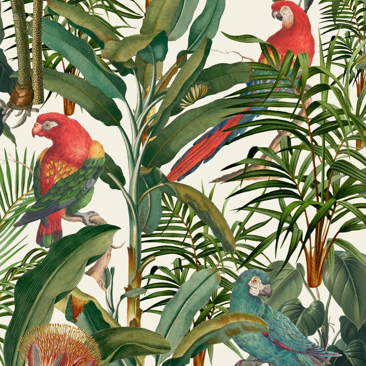 Parrots of Brazil Wallpaper